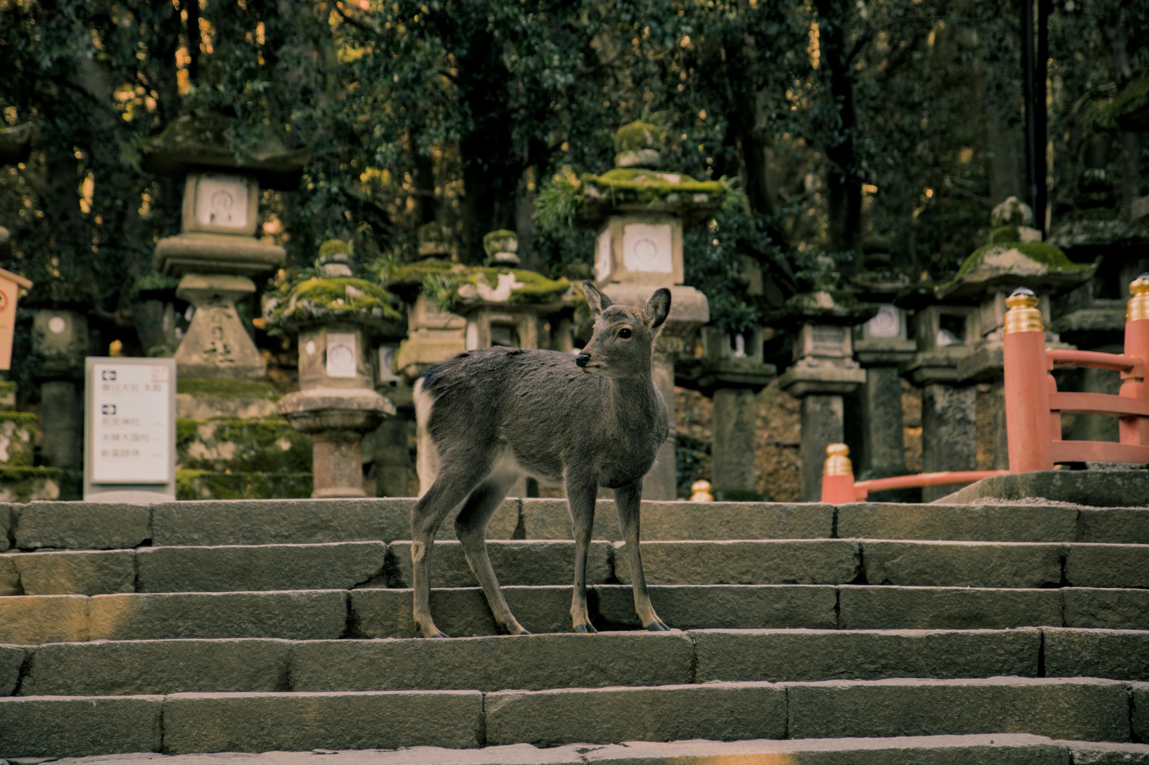 Portfolio Photography