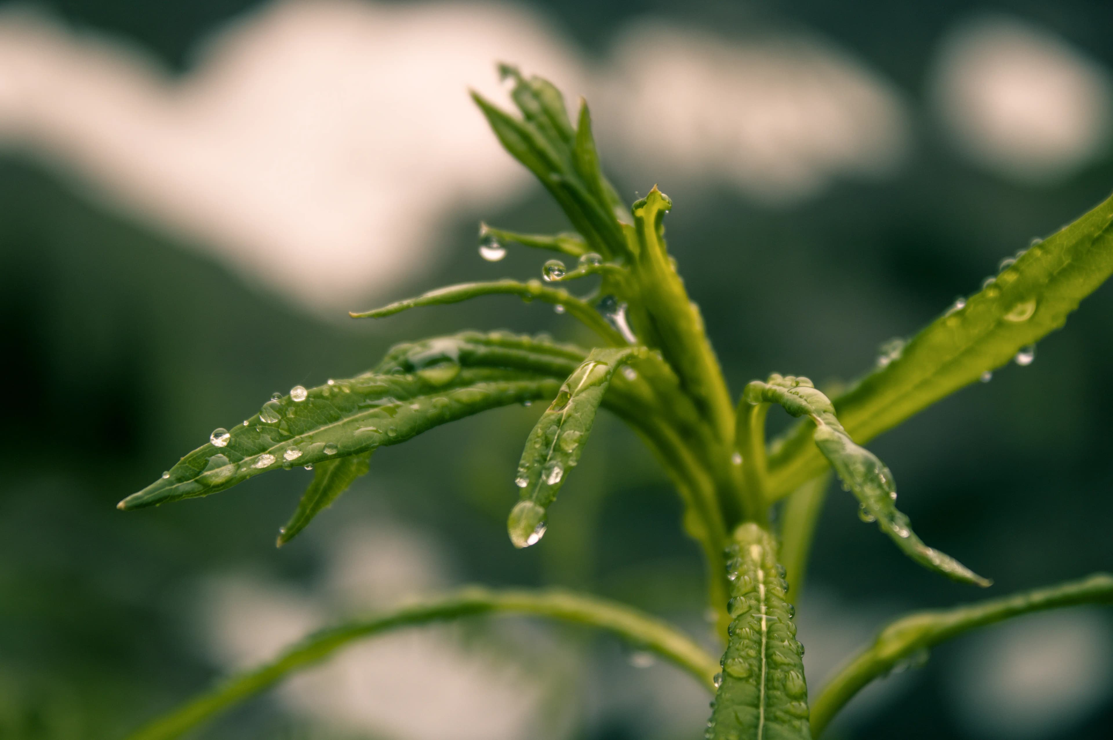 Portfolio Photography