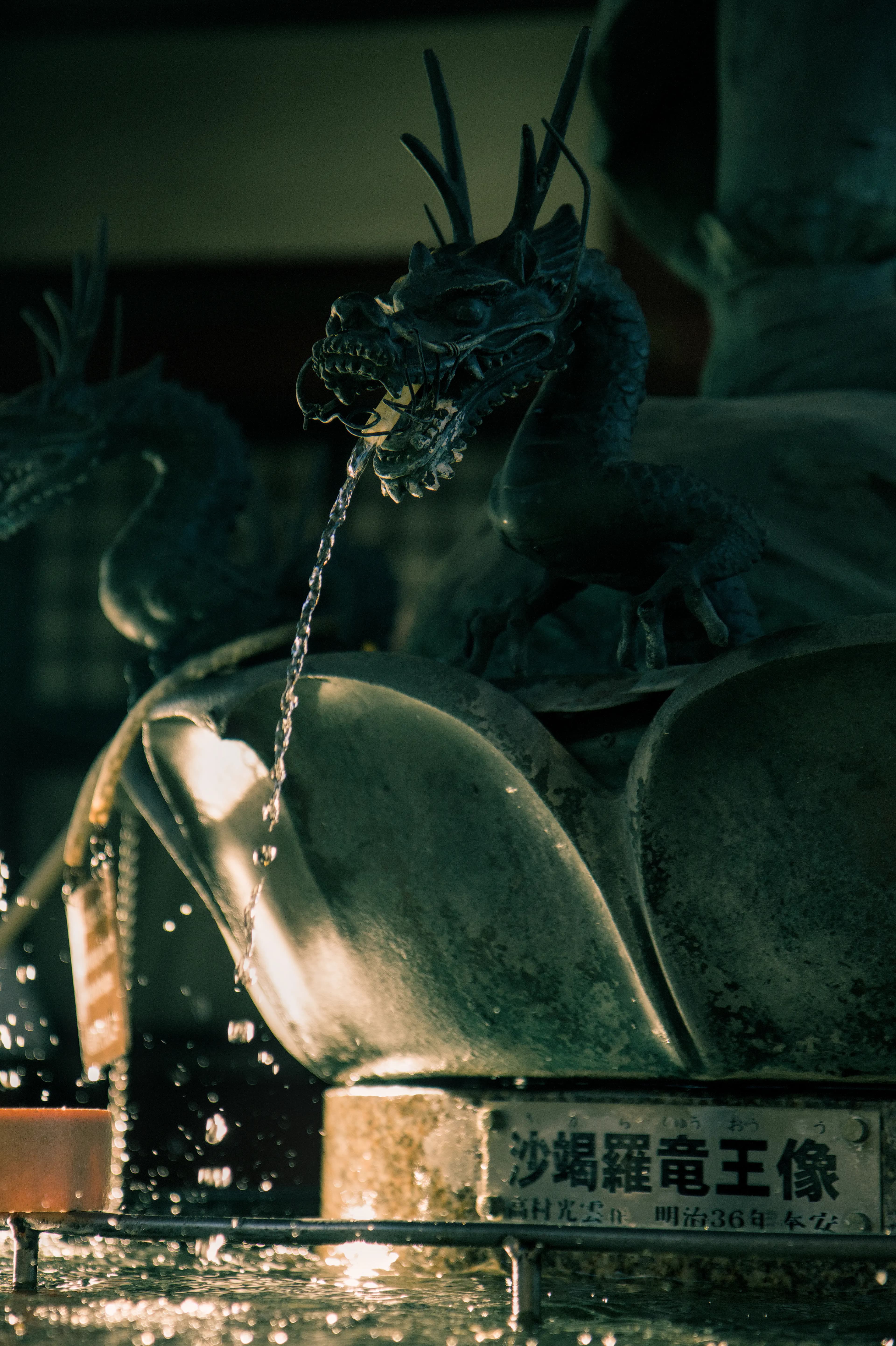 Portfolio Photography