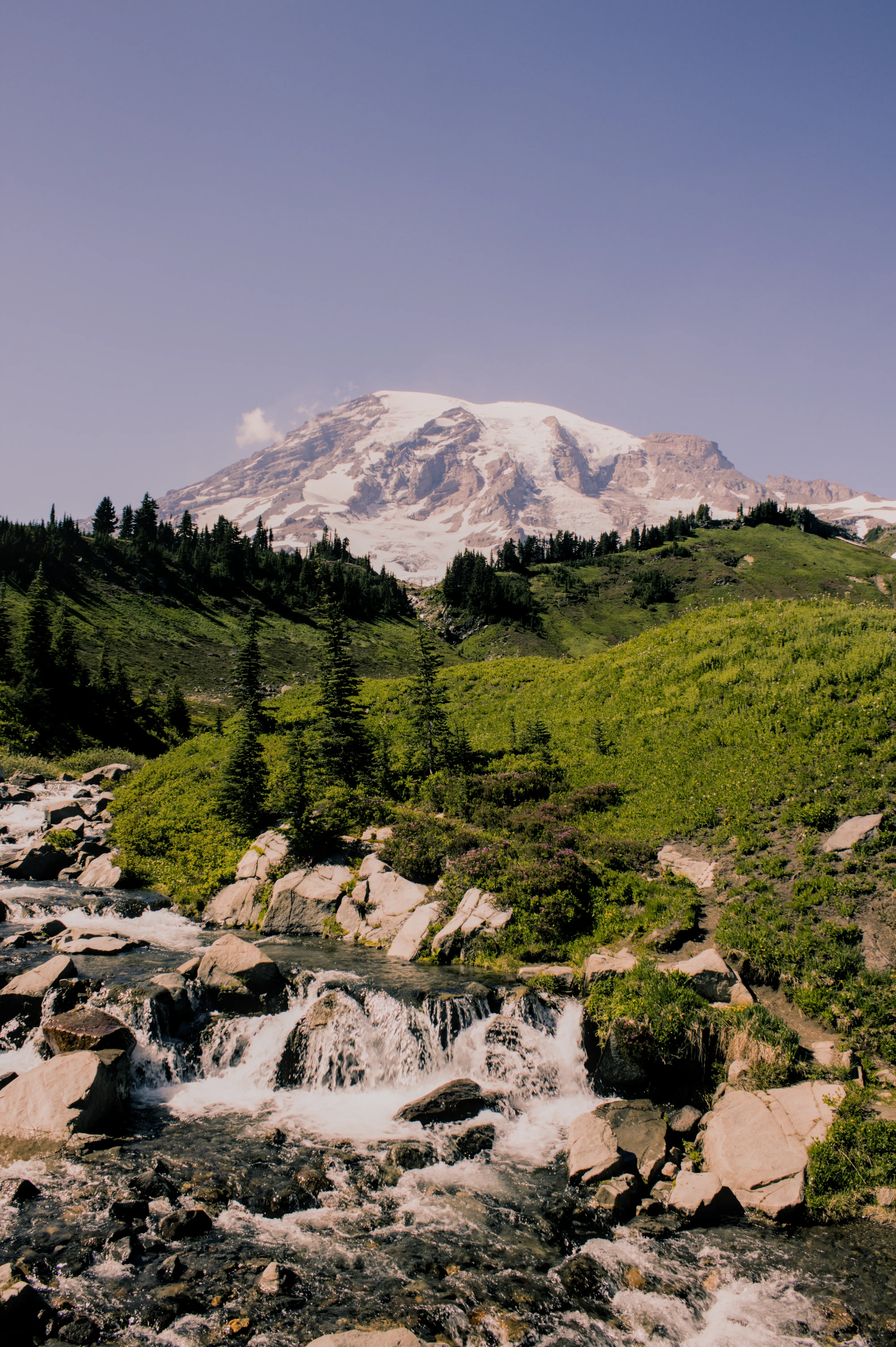 Portfolio Photography