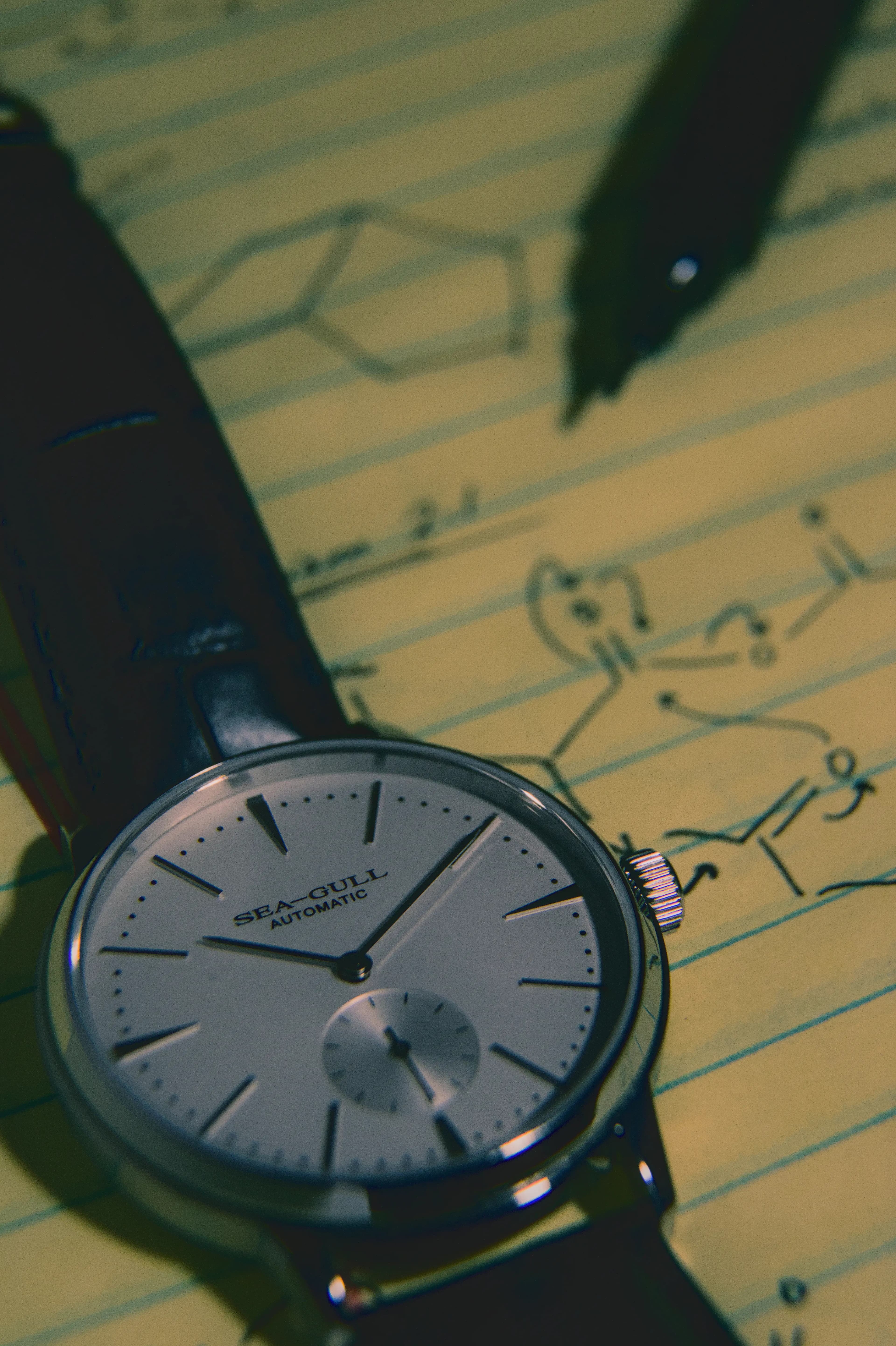 Portfolio Photography