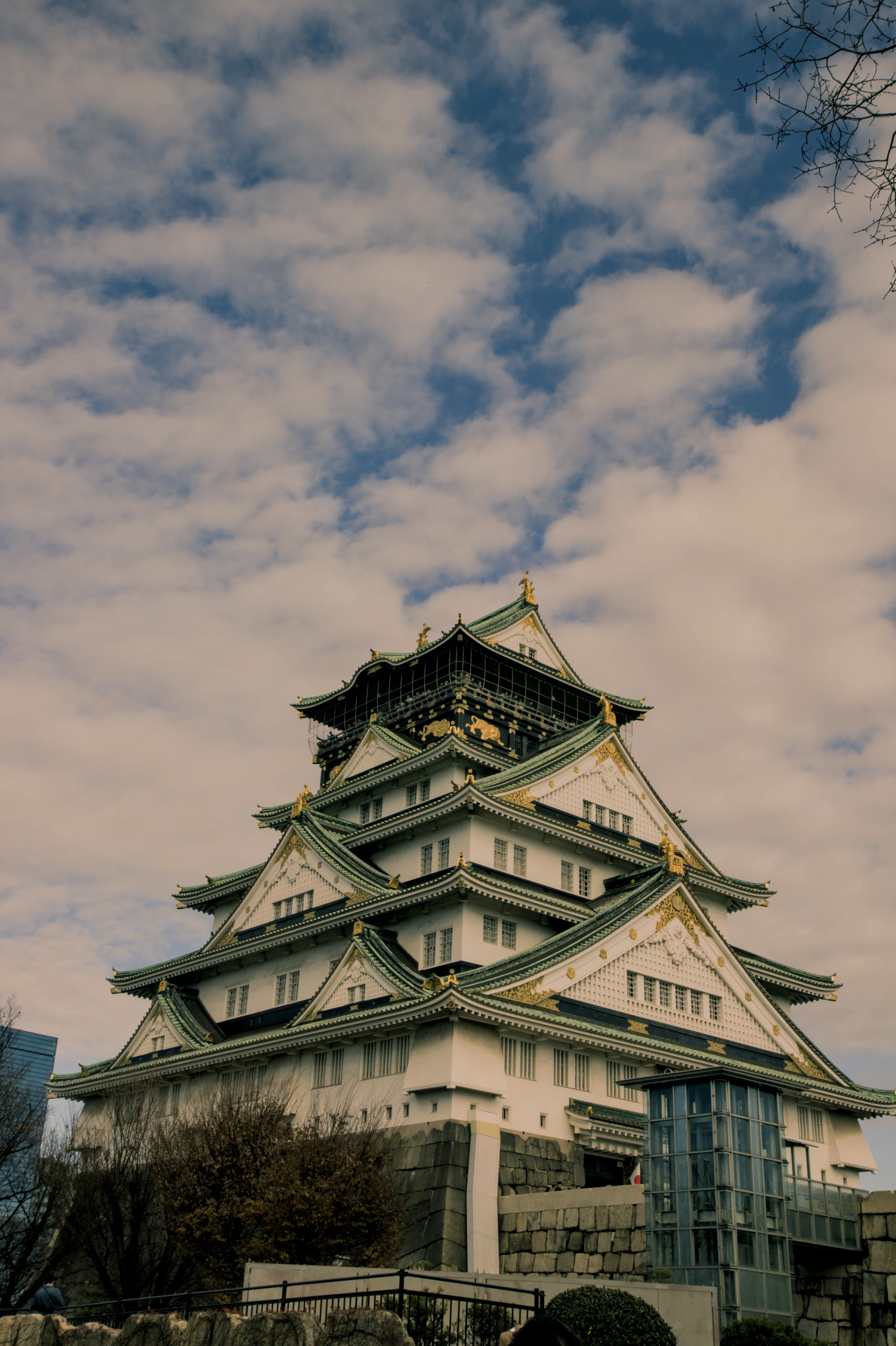 Portfolio Photography