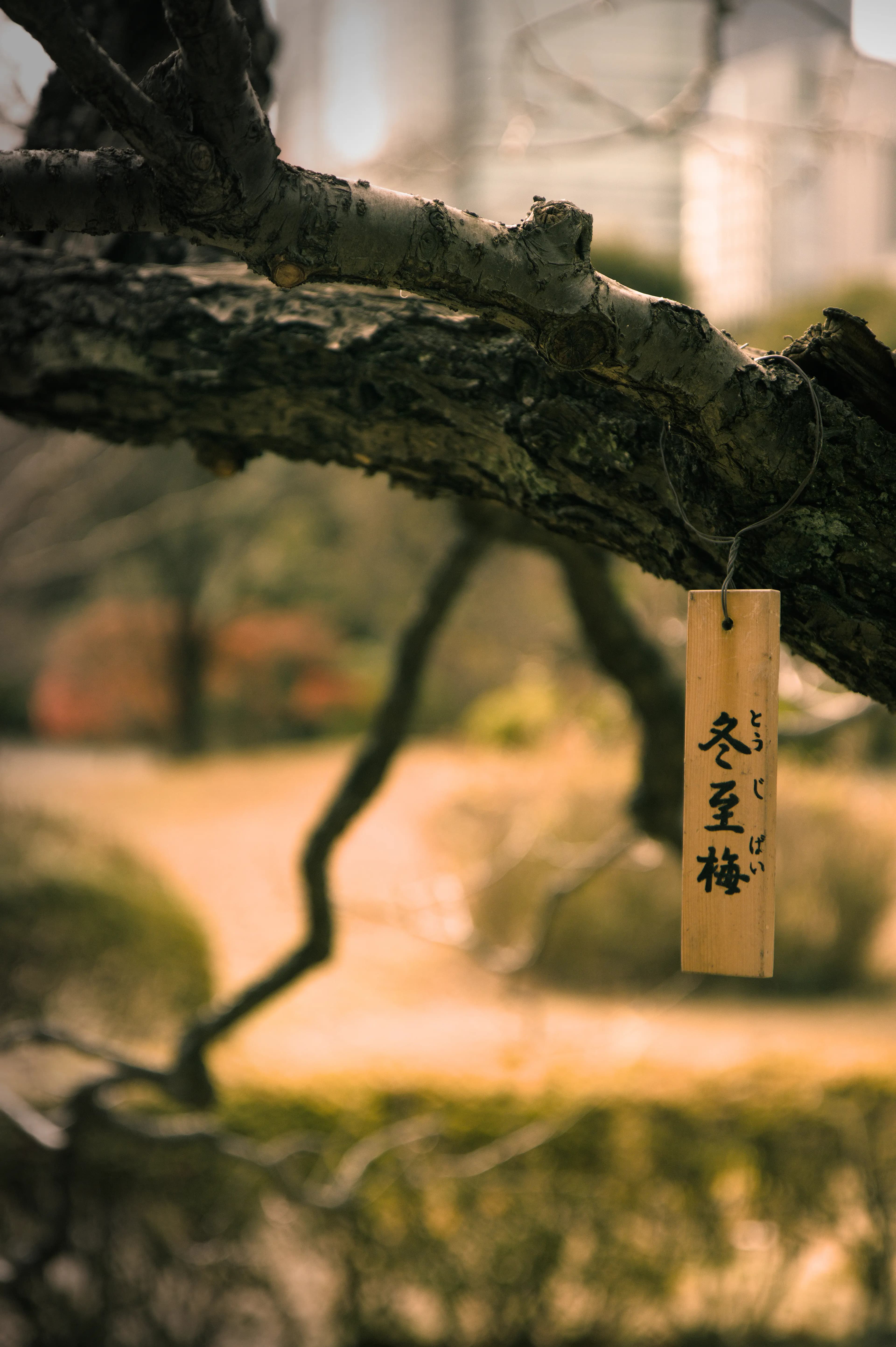 Portfolio Photography